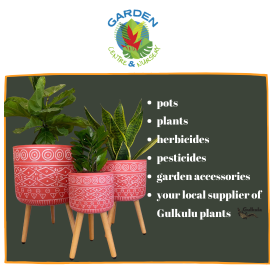 NEW PLANT STOCK